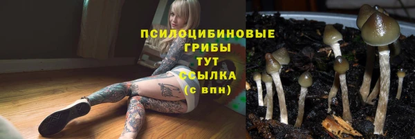 бошки Богородск