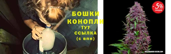 гидропоника Богородицк