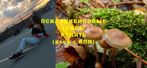 бошки Богородск