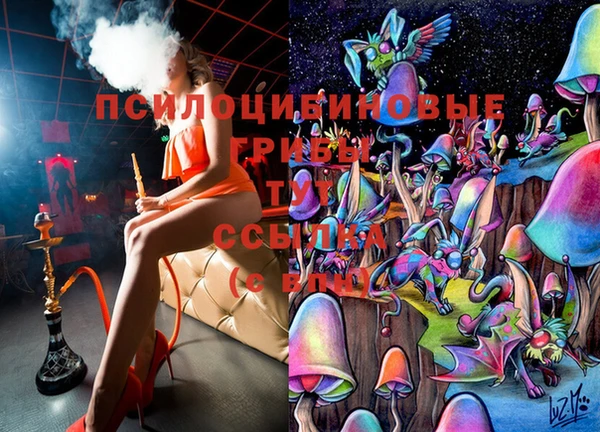 таблы Богданович